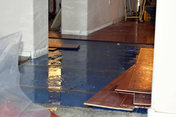 Professional Basement Water Removal technician working in Garland, TX